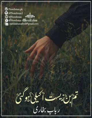 Tum Bin Zeest Akeli Ho Gae Thi By Rubab Bukhari Novel20767